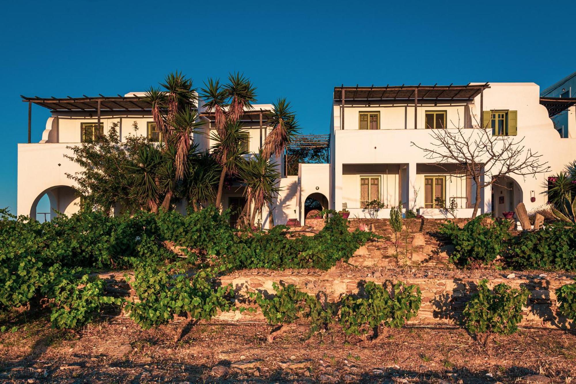 Ailouros Summer Hotel Schoinoussa Dış mekan fotoğraf