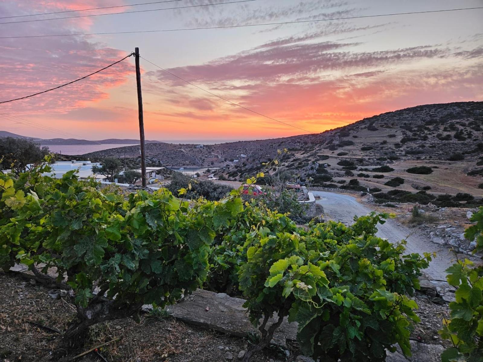 Ailouros Summer Hotel Schoinoussa Dış mekan fotoğraf
